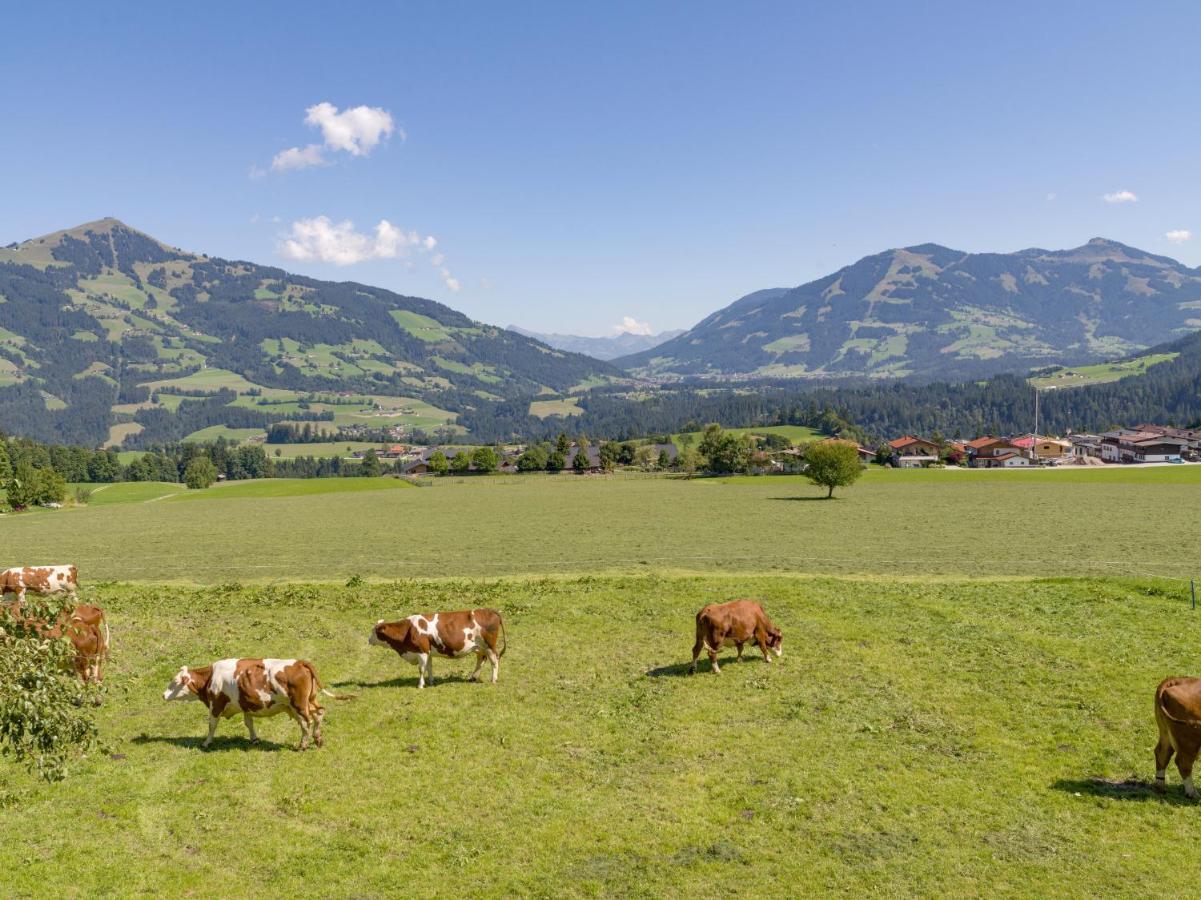 Salvenblick
