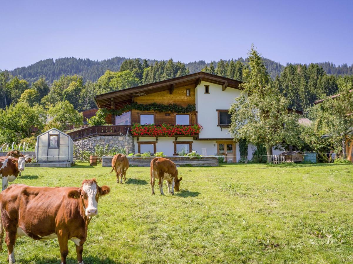 Apartamento Salvenblick *